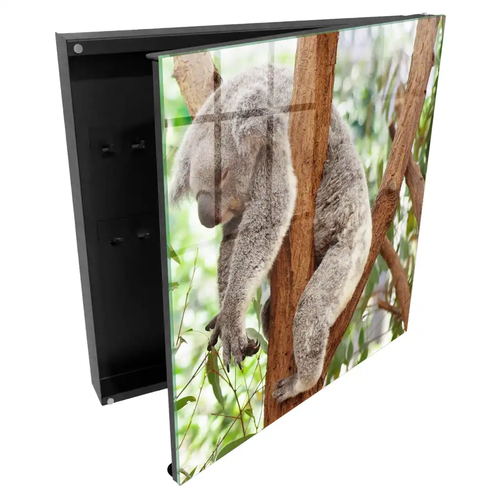 Koala mintás faliszekrény kulcstartóval