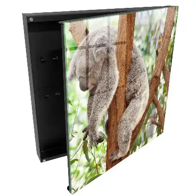 Koala mintás faliszekrény kulcstartóval