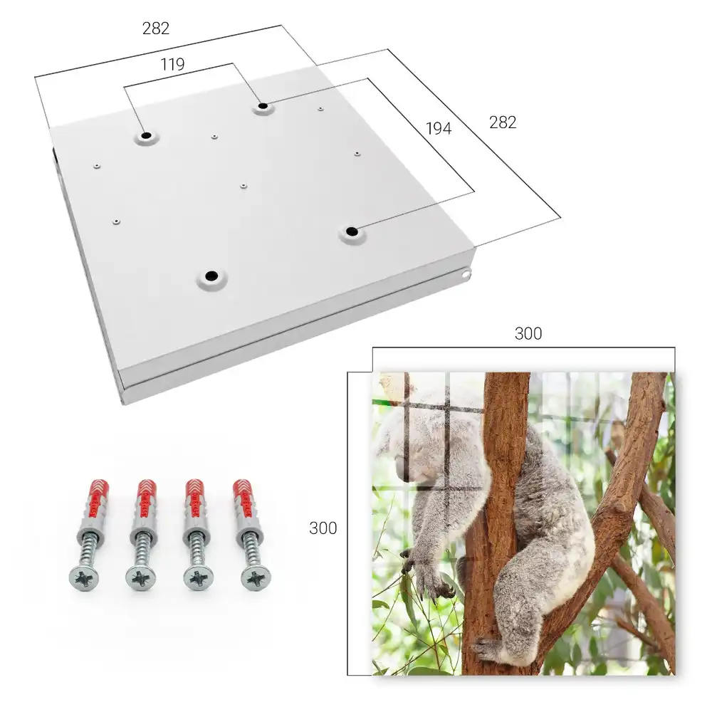 Koala mintás faliszekrény kulcstartóval