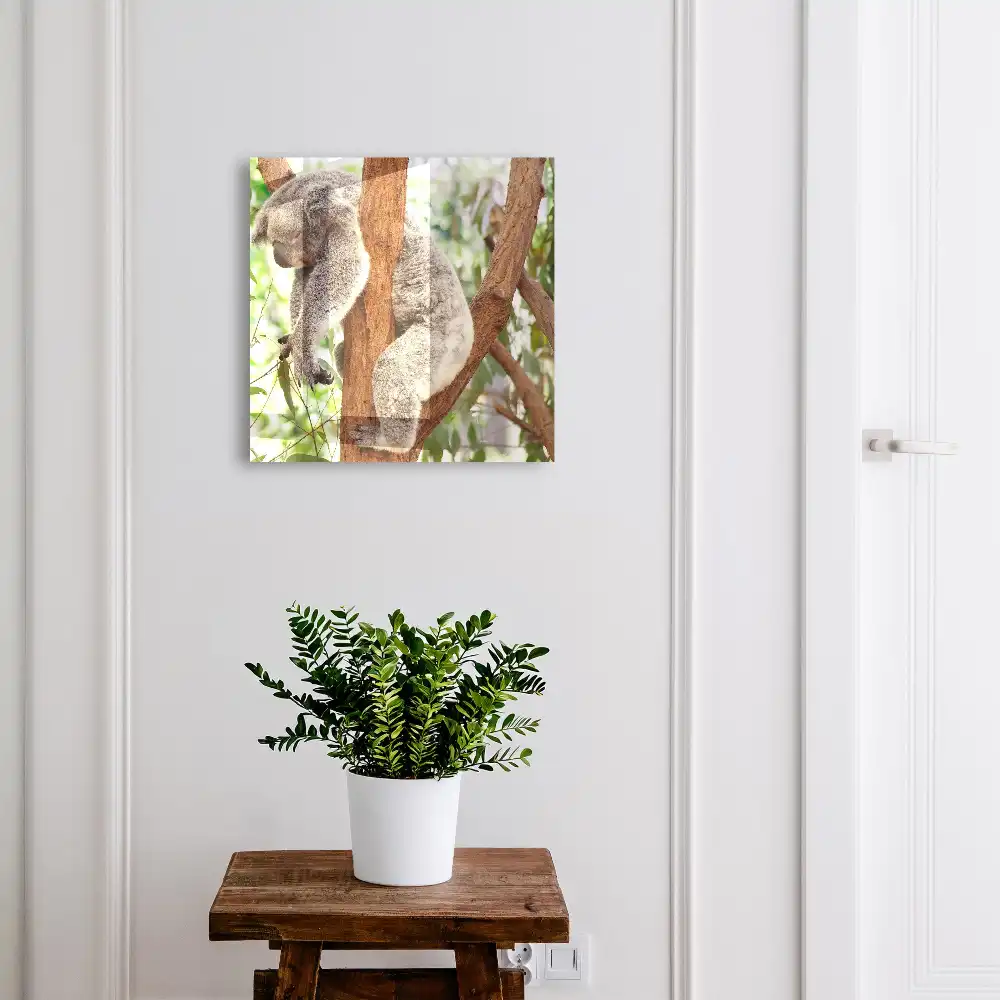 Koala mintás faliszekrény kulcstartóval