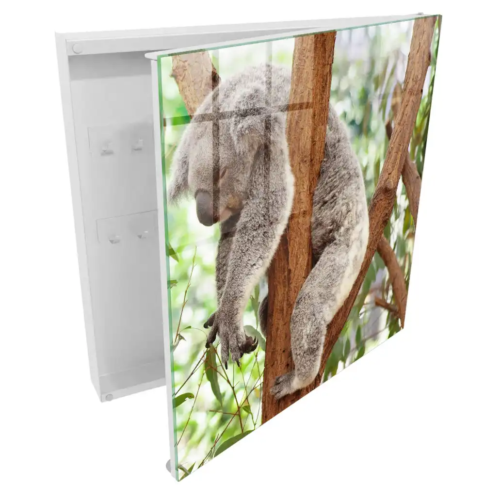 Koala mintás faliszekrény kulcstartóval
