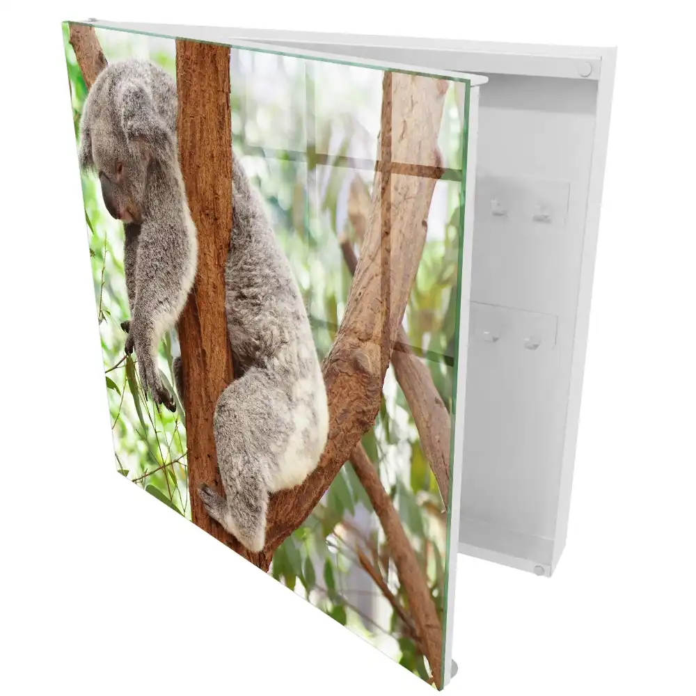 Koala mintás faliszekrény kulcstartóval