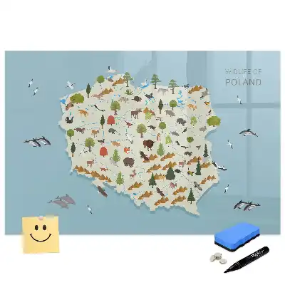Mágneses, törölhető tábla Lengyelország térképével és állatokkal