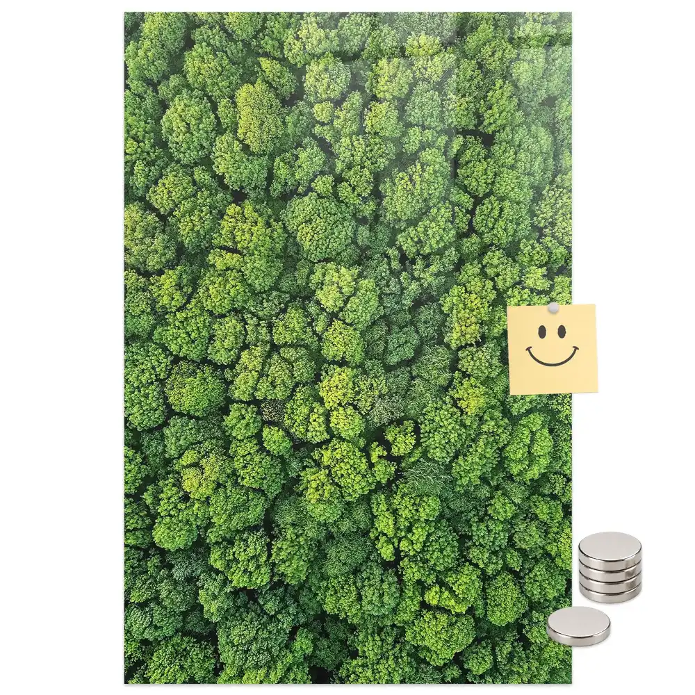 Mágneses üveg írótábla erdei fák mintával