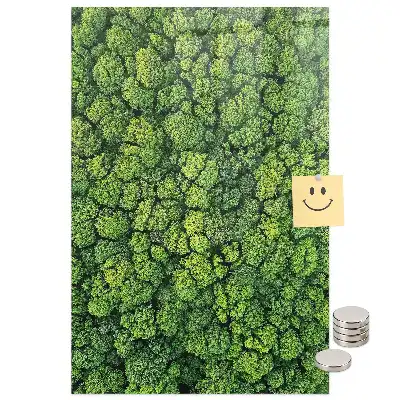 Mágneses üveg írótábla erdei fák mintával