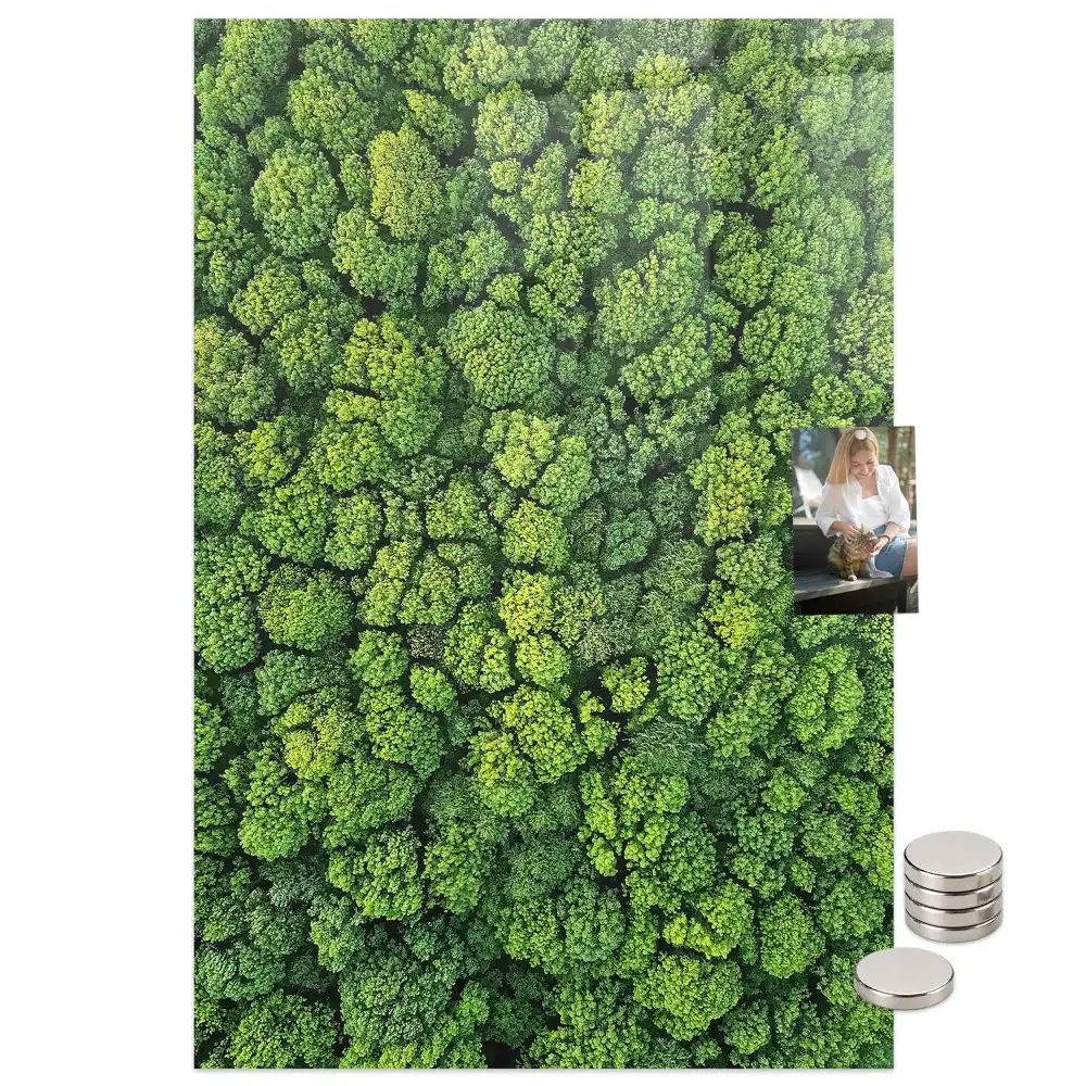 Mágneses üveg írótábla erdei fák mintával