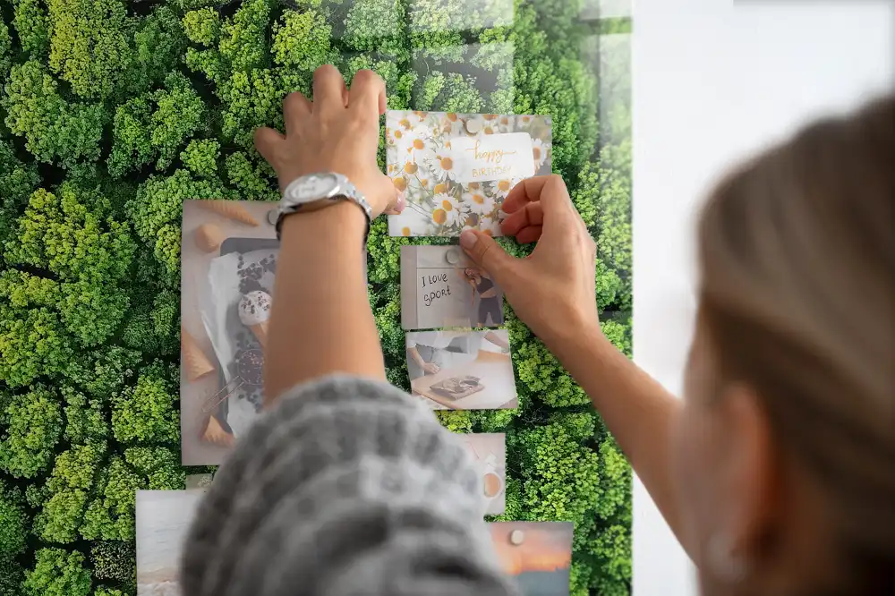 Mágneses üveg írótábla erdei fák mintával