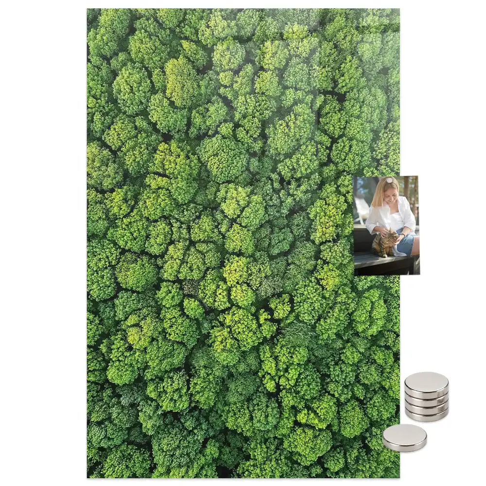 Mágneses üveg írótábla erdei fák mintával