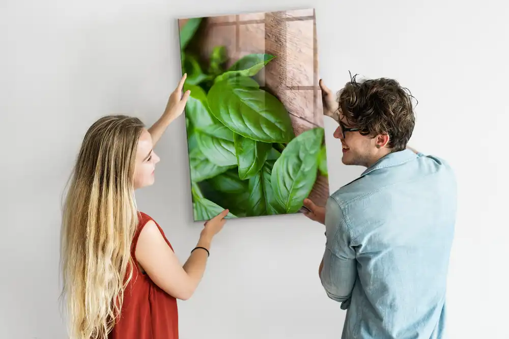 Bazsalikomleveles mágnestábla